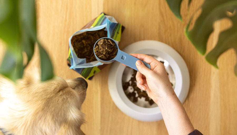 Underweight Dog? See Best dog food for weight gain