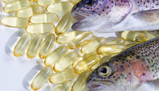 Fish Oil for Dogs and Cats: A Comprehensive Guide