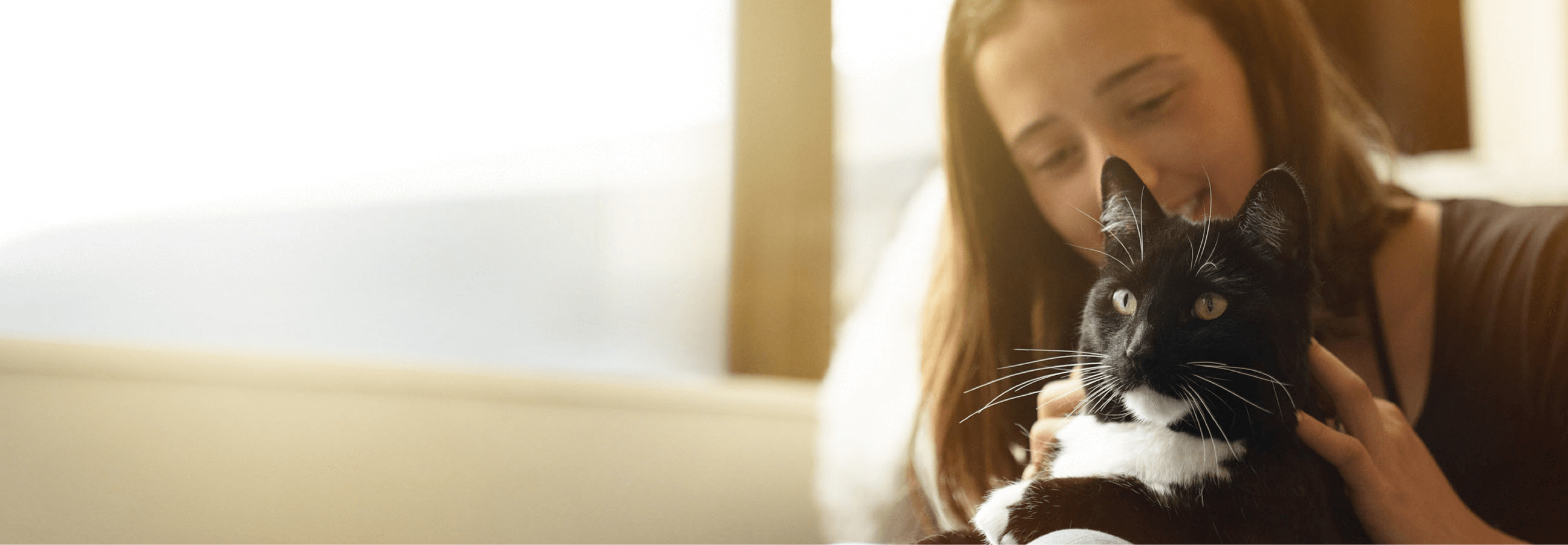 Ziwi online venison cat