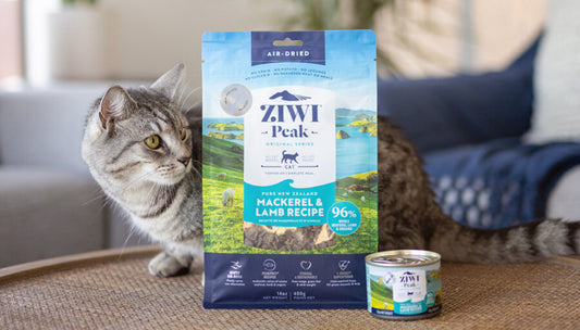Cat laying next to Ziwi sensitive stomach cat food products 