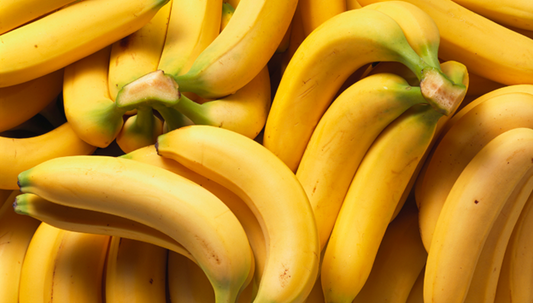 Can dogs eat bananas? Health benefits and feeding tips