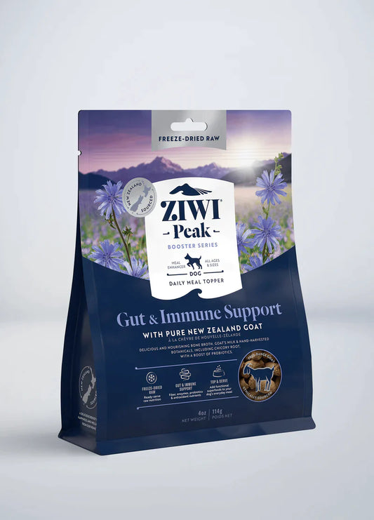 Gut & Immune Support