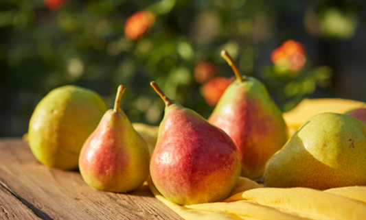 Fresh pear arranged as a dog-friendly fruit snack