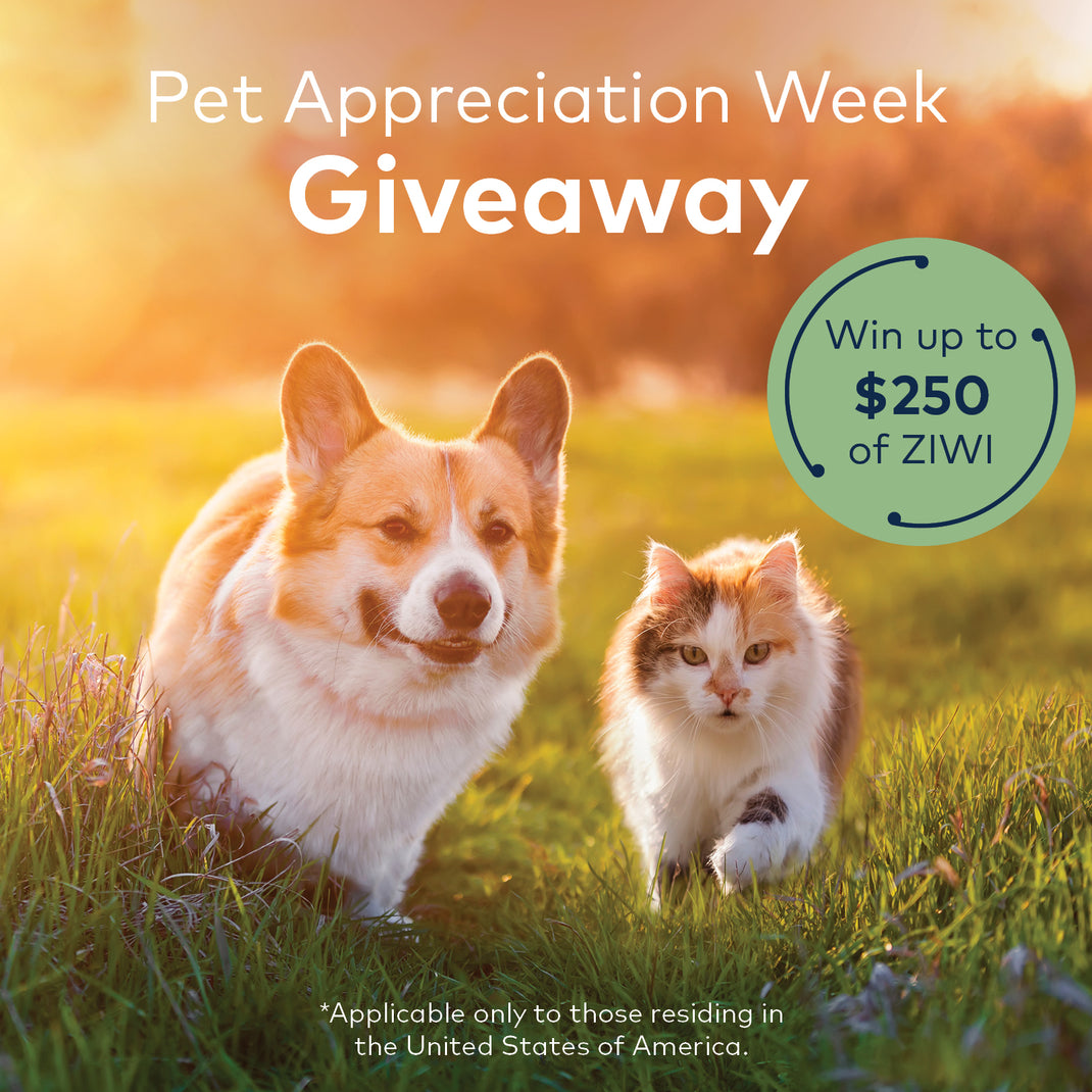 Pet Appreciation Week Giveaway ZIWI US
