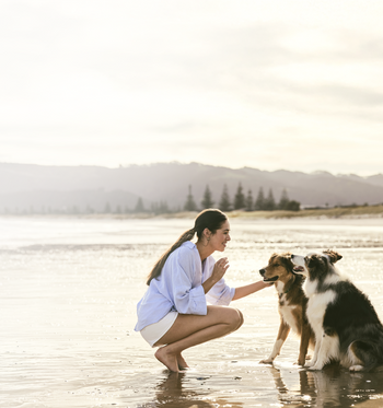 ZIWI US | Shop Natural Pet Food Packed with Superfoods ZIWI US | Shop Natural Pet Food Packed with Superfoods
