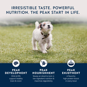Original Air-Dried Chicken & Lamb Recipe for Puppies