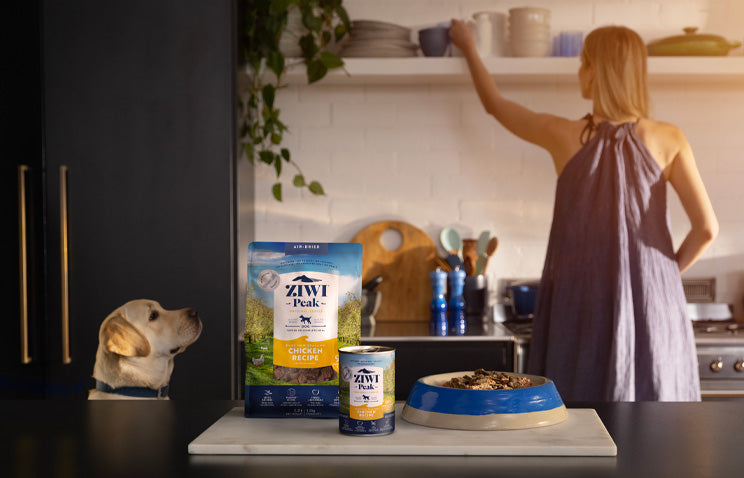 Our Pet Feeding Guide | ZIWI US