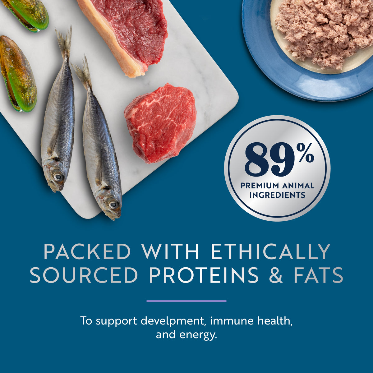 Original Wet Pâté Beef with Mackerel Recipe for Kittens