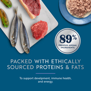 Original Wet Pâté Beef with Mackerel Recipe for Kittens
