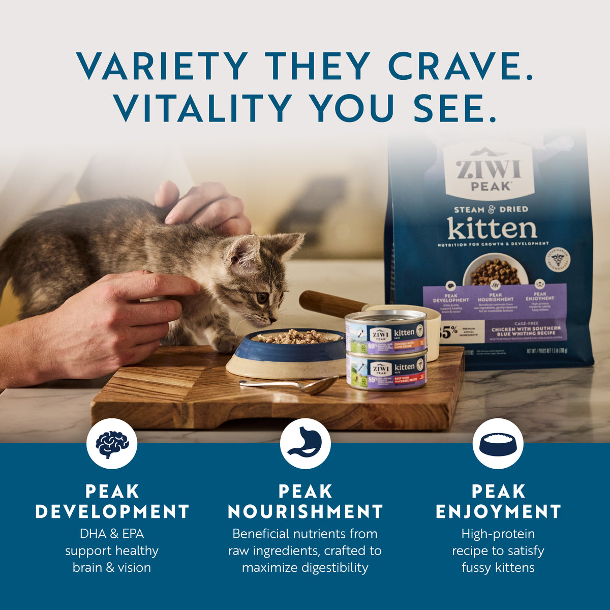 Original Wet Pâté Chicken with Lamb Recipe for Kittens