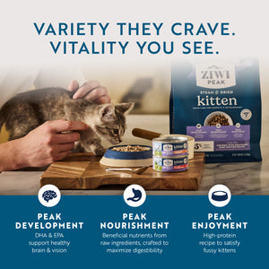 Original Wet Pâté Chicken with Lamb Recipe for Kittens