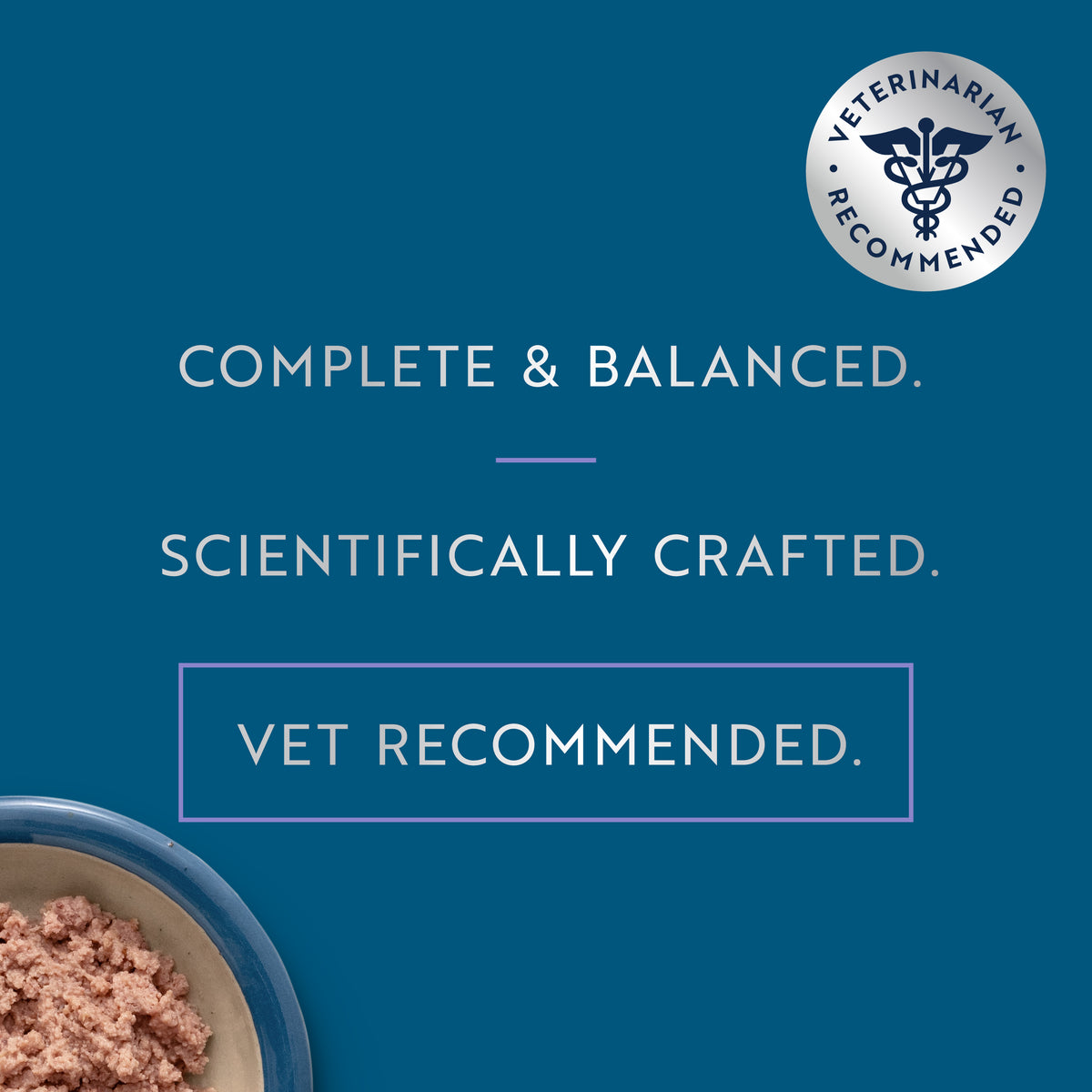 Original Wet Pâté Chicken with Lamb Recipe for Kittens