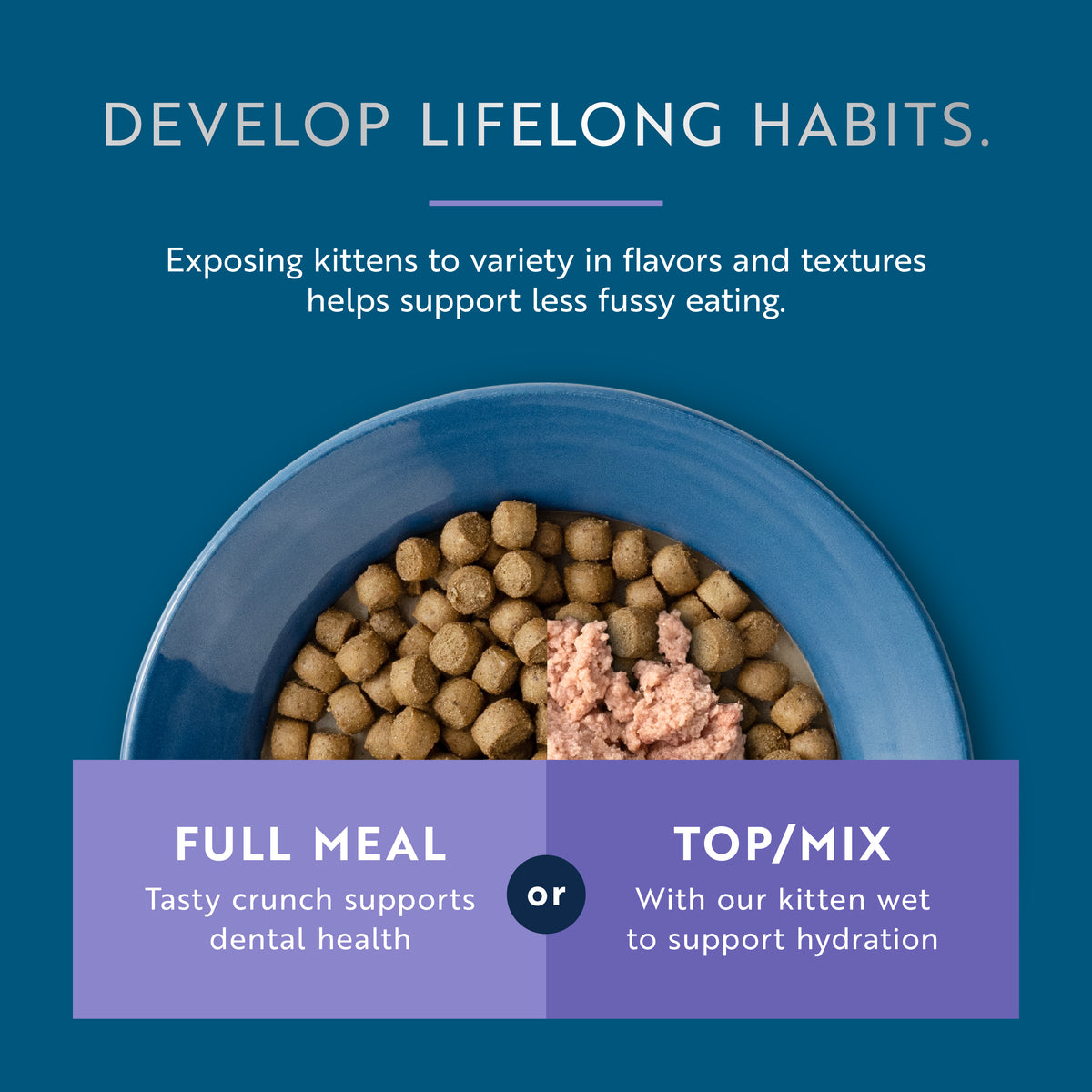 Steam & Dried Cage-free Chicken with Southern Blue Whiting Recipe for Kittens