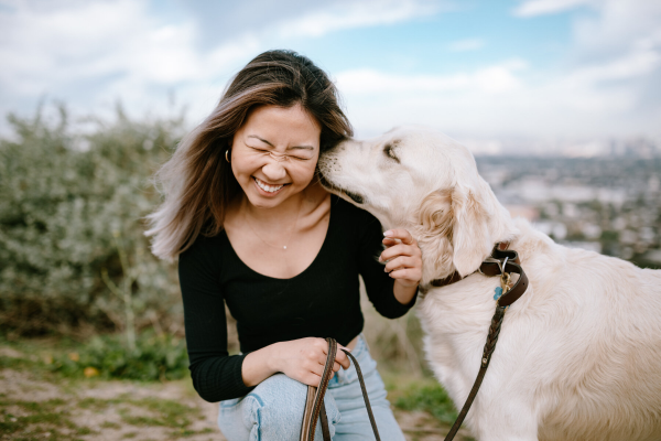 Steam and Dried lifestyle dog image_medium 1.png