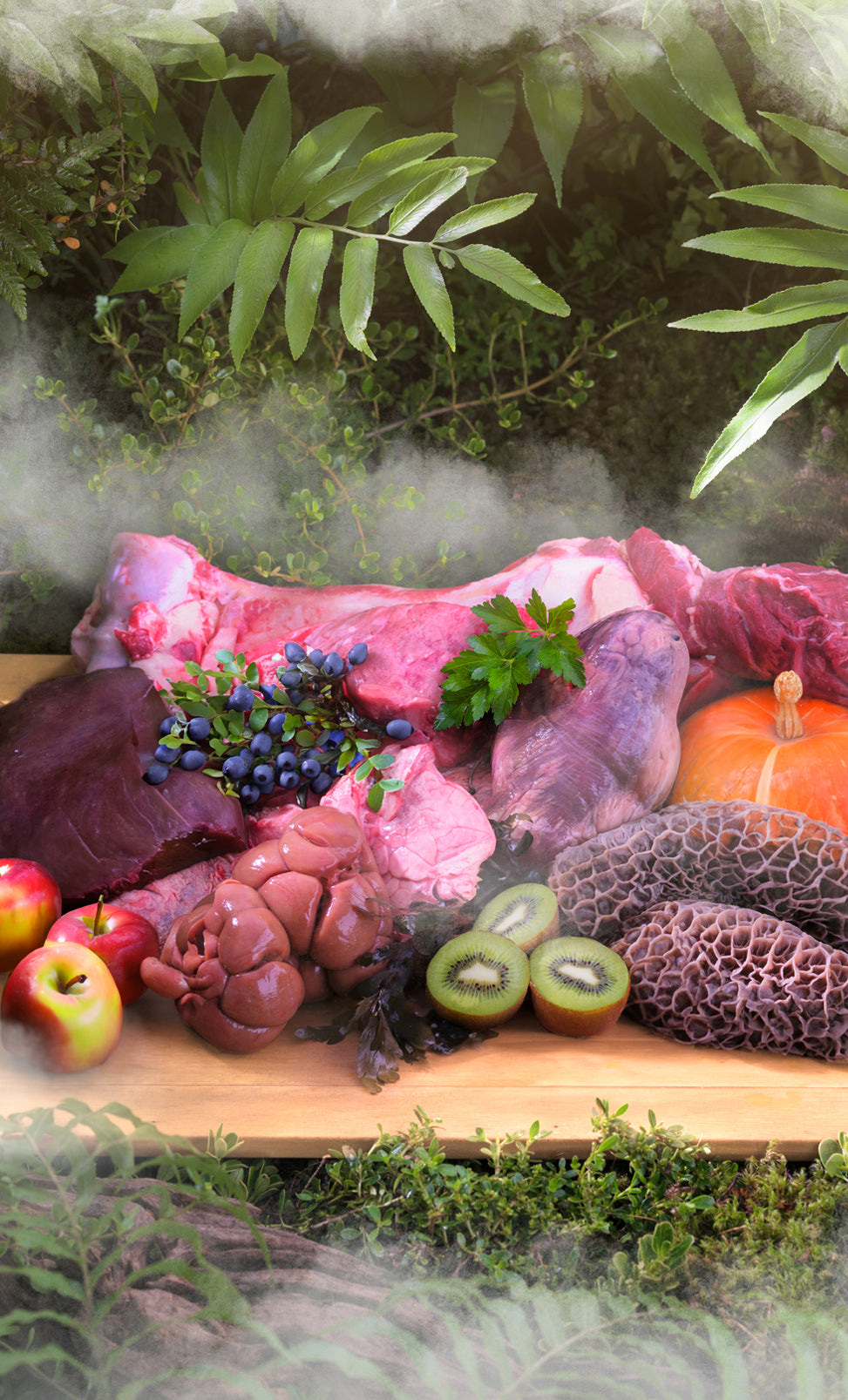 Steam & Dried Beef with Pumpkin Recipe for dogs | ZIWI US