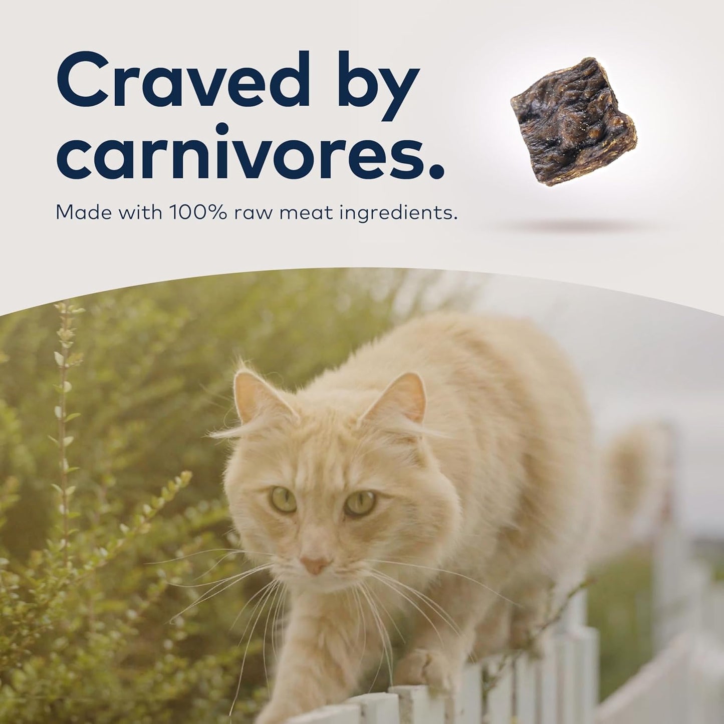 Original Air-dried Chicken Recipe for cats