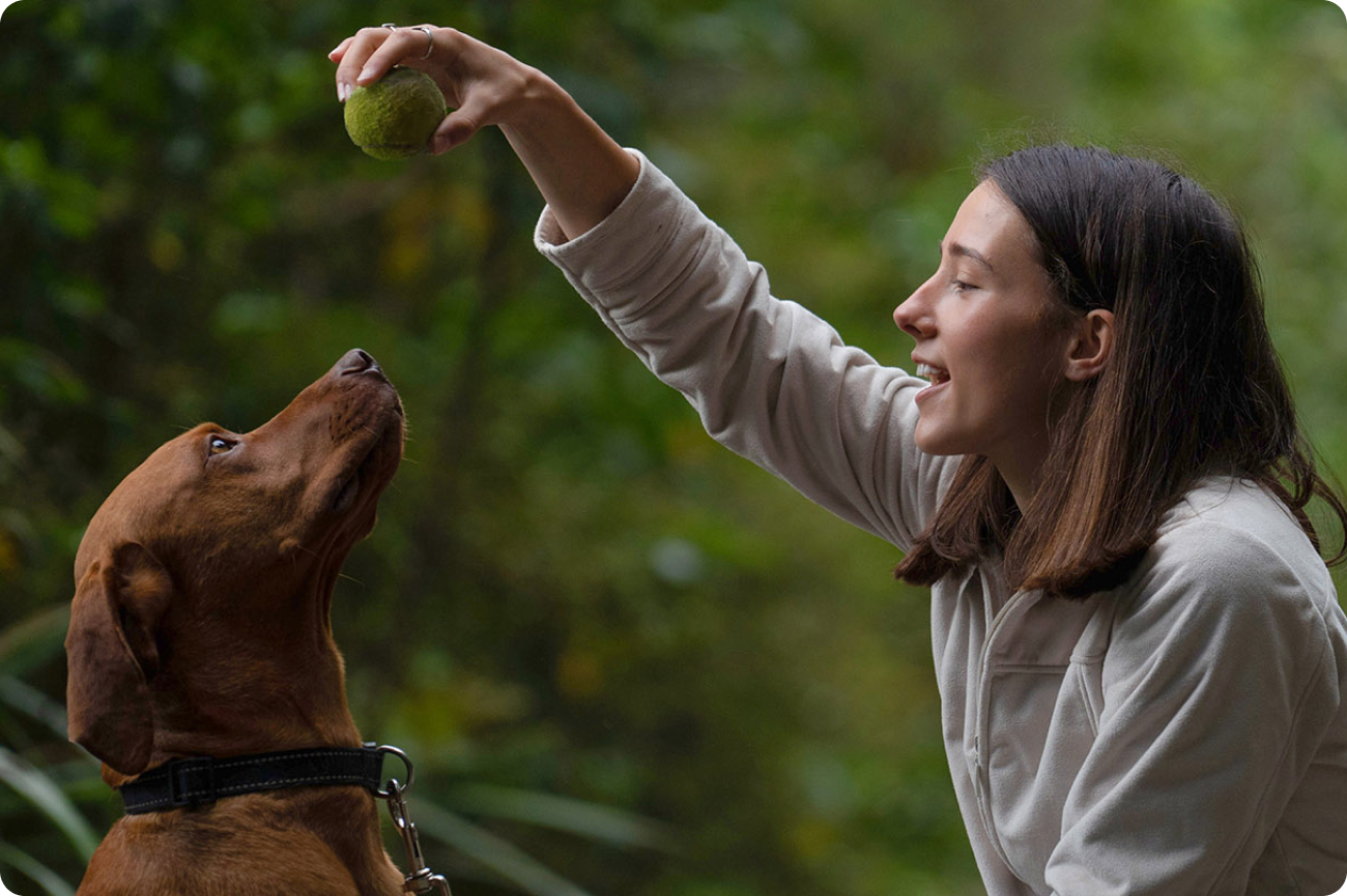 A Lady Teaching Her Dog With a Tennis Ball How to Wait for its Pets Food 