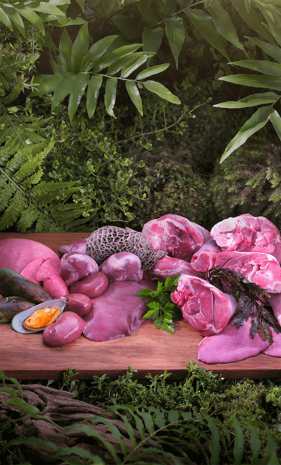 Ziwi Peak Air-Dried Tripe & Lamb 1kg 성분표