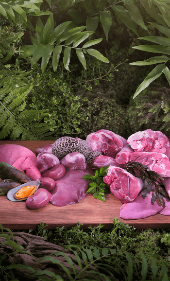 Ziwipeak rabbit hotsell