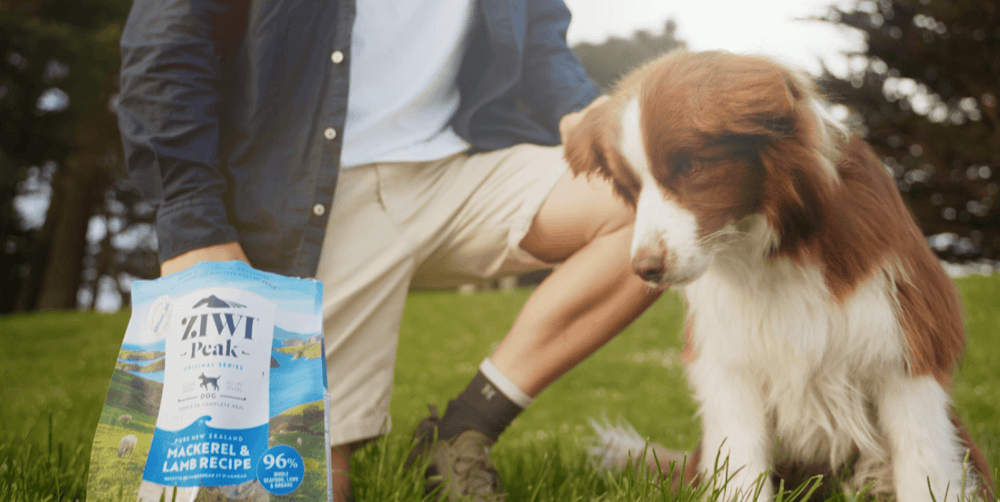 Ziwipeak feeding deals calculator