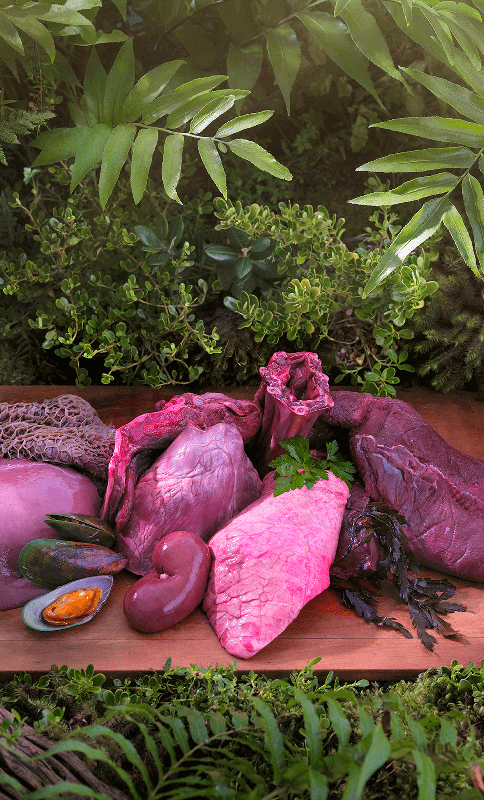 Ziwi Peak Air-Dried Venison 1kg 성분표